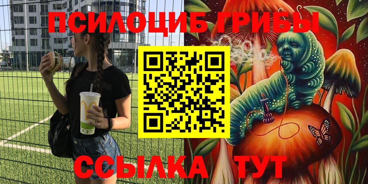Псилоцибиновые грибы GOLDEN TEACHER Петропавловск-Камчатский