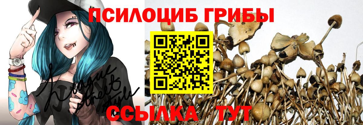 купить закладку  Галлюциногенные грибы прущие грибы  Вход с VPN  Петропавловск-Камчатский 